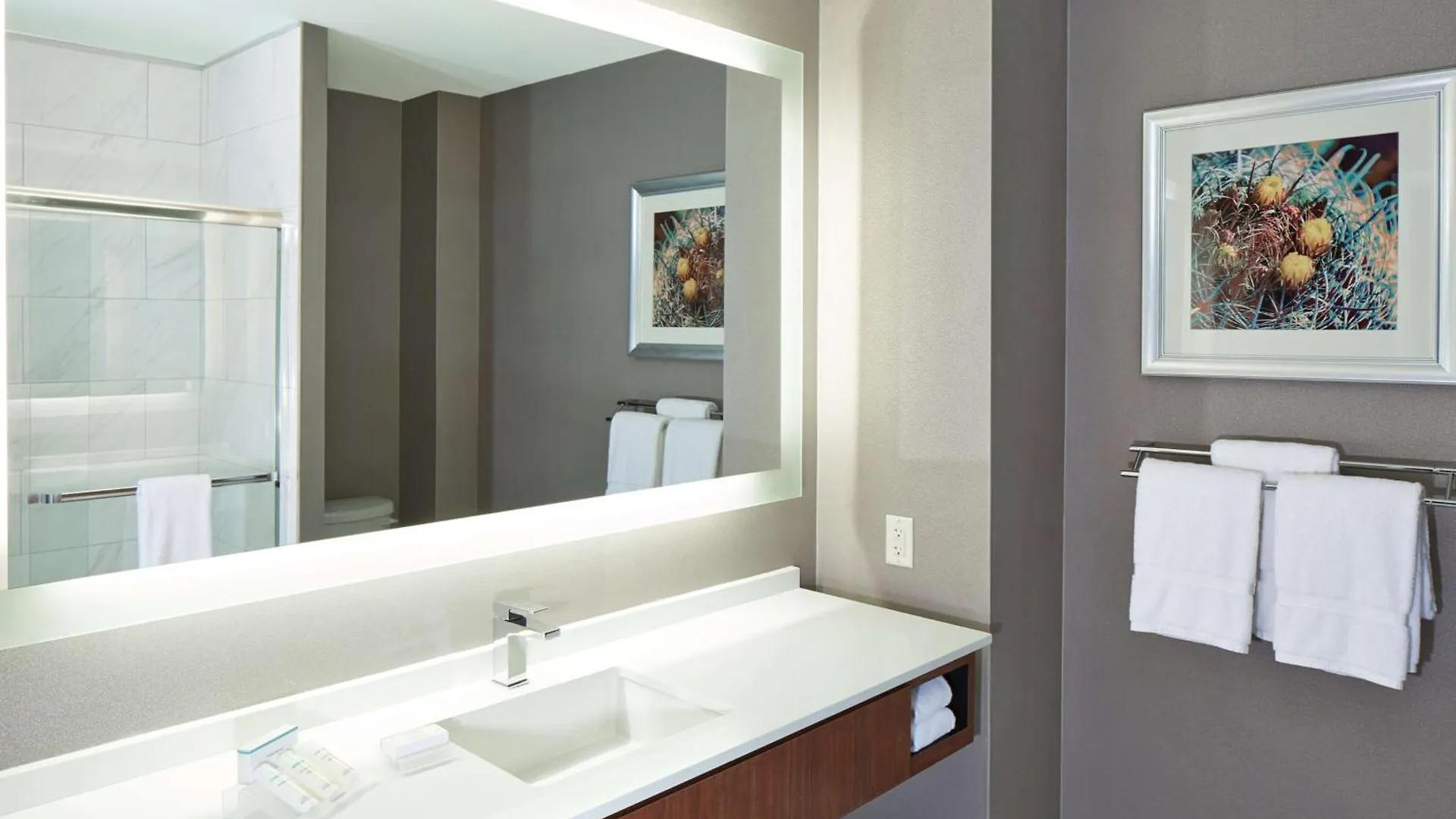 Hilton Garden Inn Phoenix Downtown Hotel